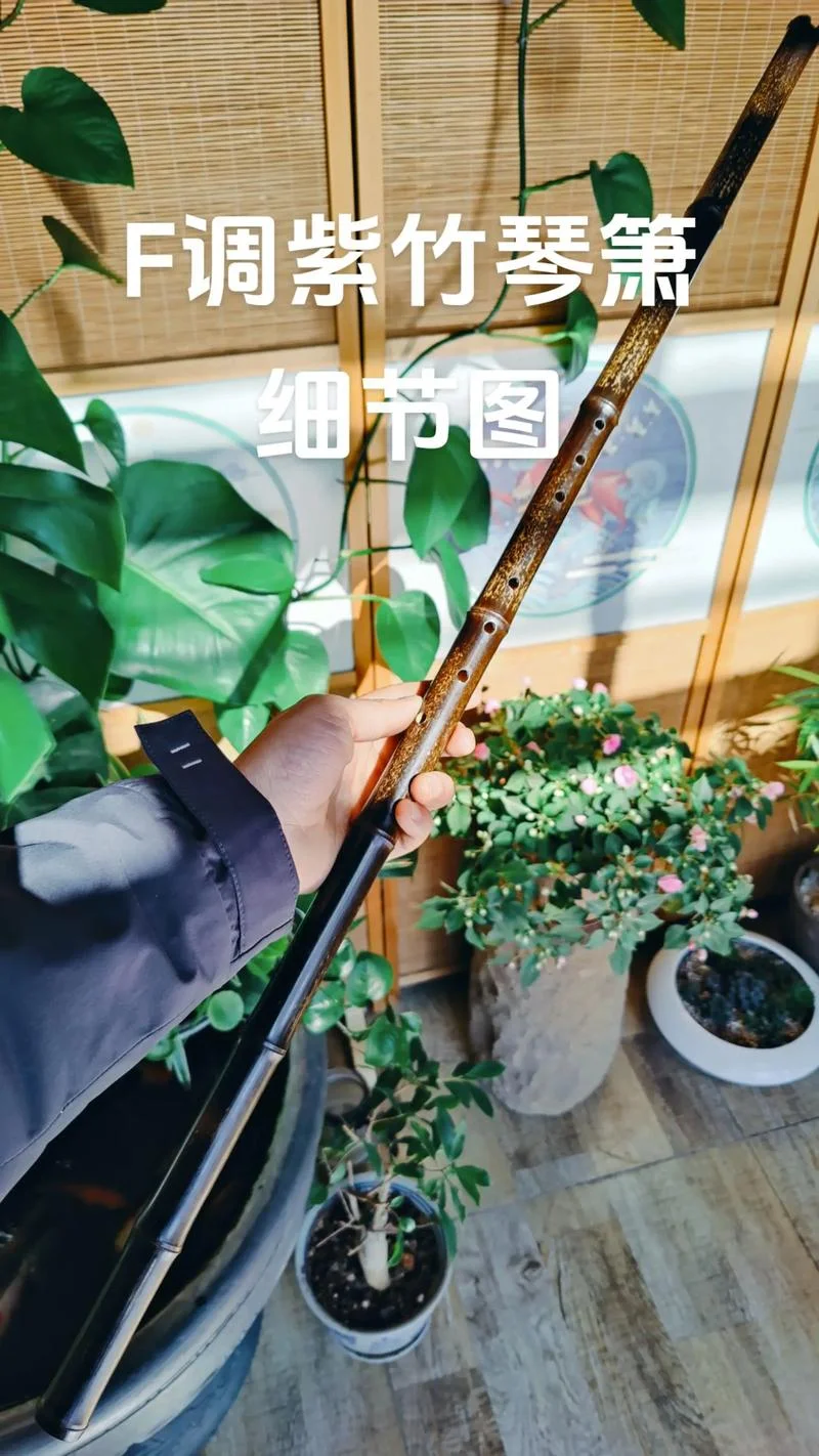 初学洞箫买什么样的_1