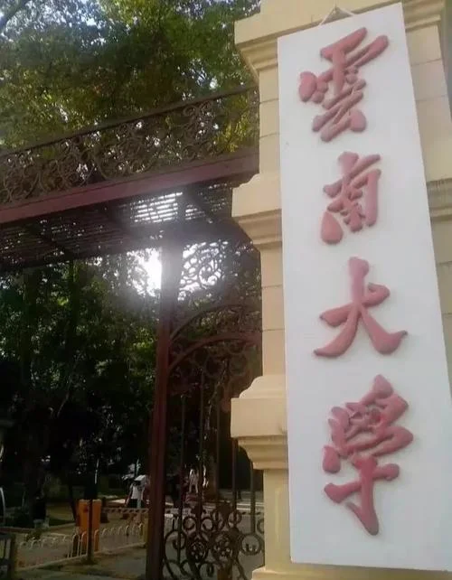 云南大学图书馆历史-云大图书馆沿革