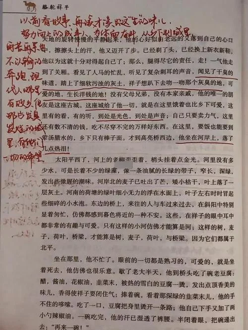 骆驼祥子第9章的感悟_2