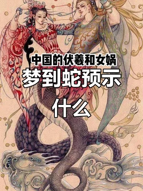 孕妇梦见亲人把蛇打死_2