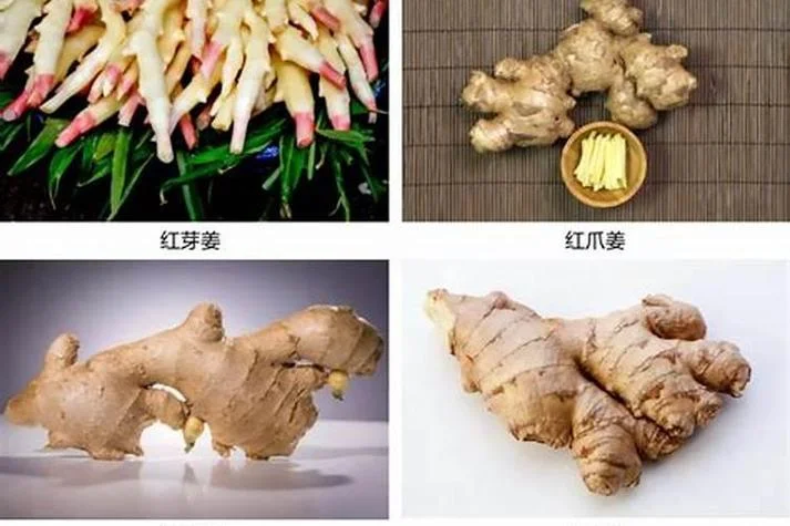 梦见好多姜是什么意思_2