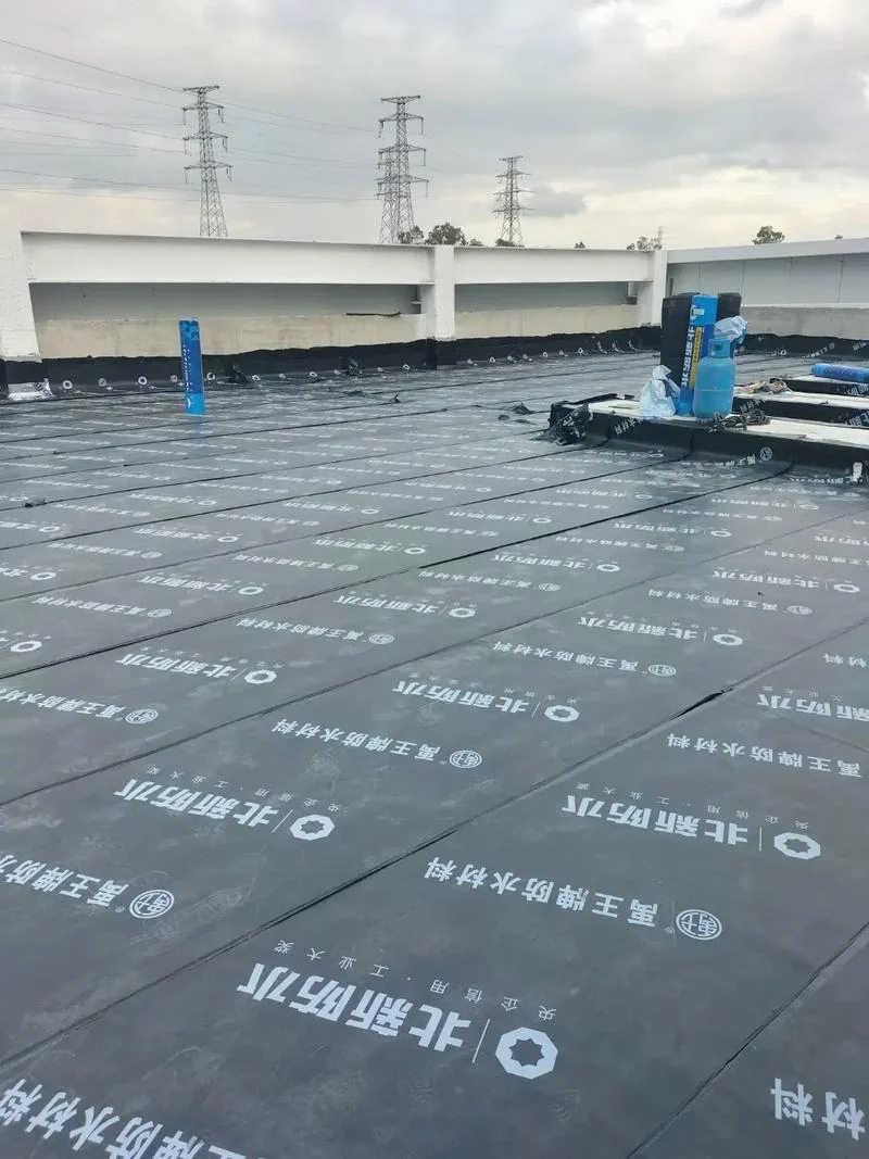 屋顶防水补漏公司哪家好_2