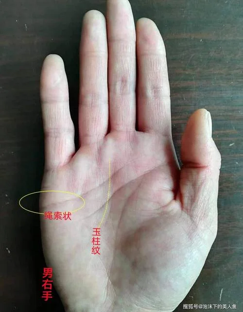 男生右手的手相-男生右手手相
