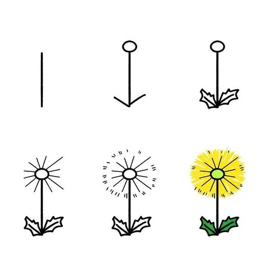 芥叶蒲公英简笔画_2