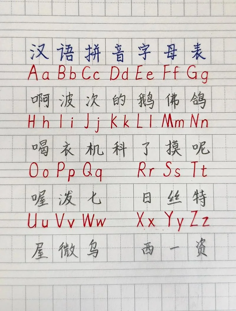 有很多拼音怎么写_2