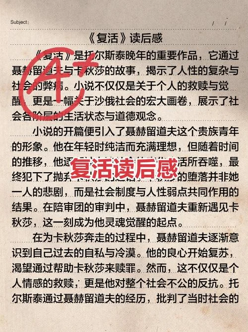 复活读后感500以上-