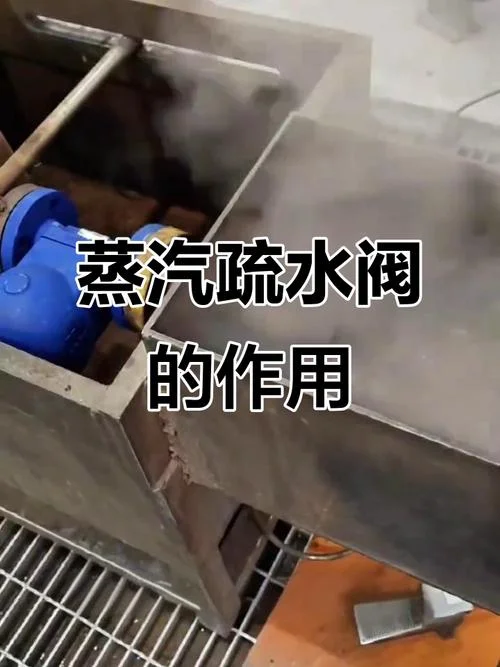 蒸汽阀工作原理视频_2