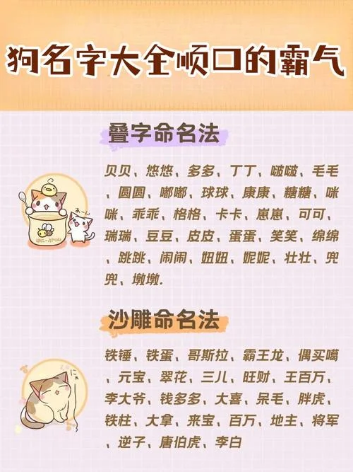 属狗用宸字起名好不好_1