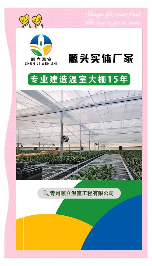 大棚一亩需要多少钱_2