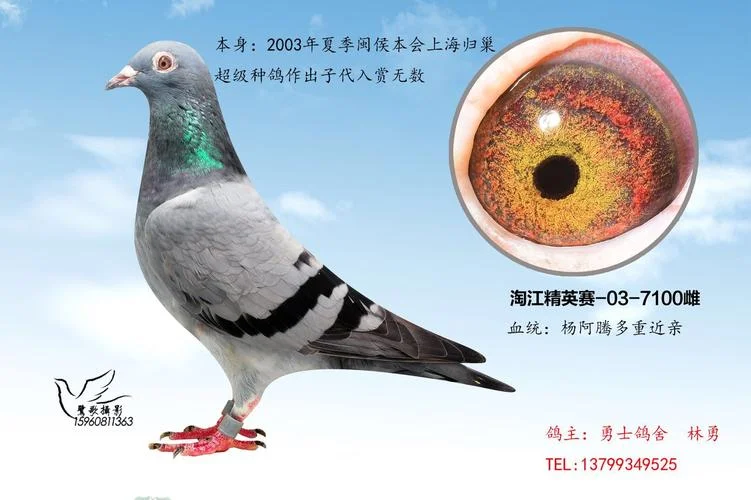 春晖公棚2016成绩_1