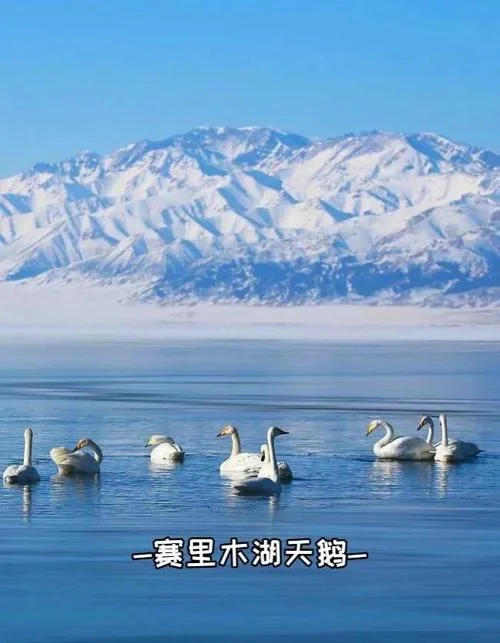 伊犁旅游收费景点-伊犁收费景区