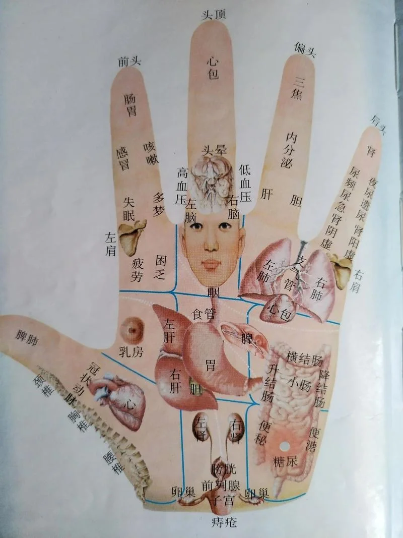 女右手怎么看手相_1