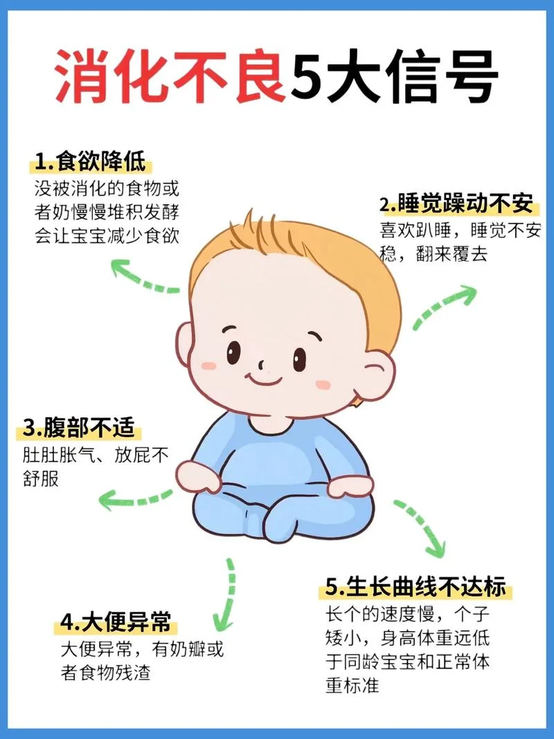 消化不良吸收不好怎么办-消化不良难吸收怎么办
