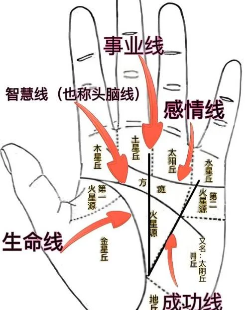手相是易经吗_1