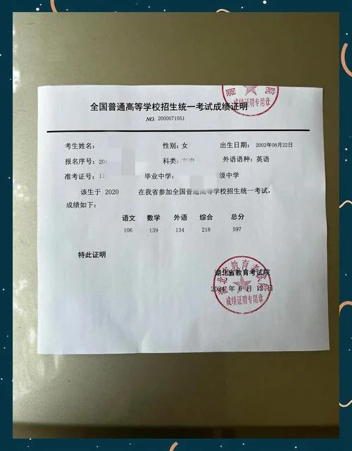 高考成绩网上查询_2