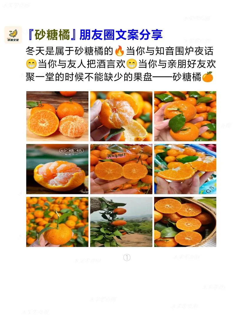 直播卖柑橘文案_1