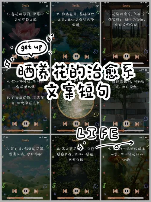 待花开之时文案_1