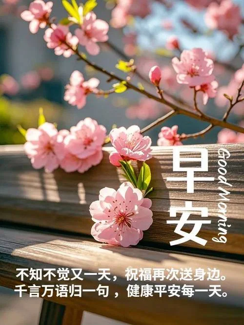 早安感悟心情说说_2