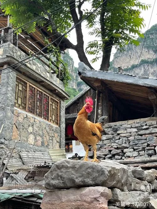 延安至太原多少公里_1
