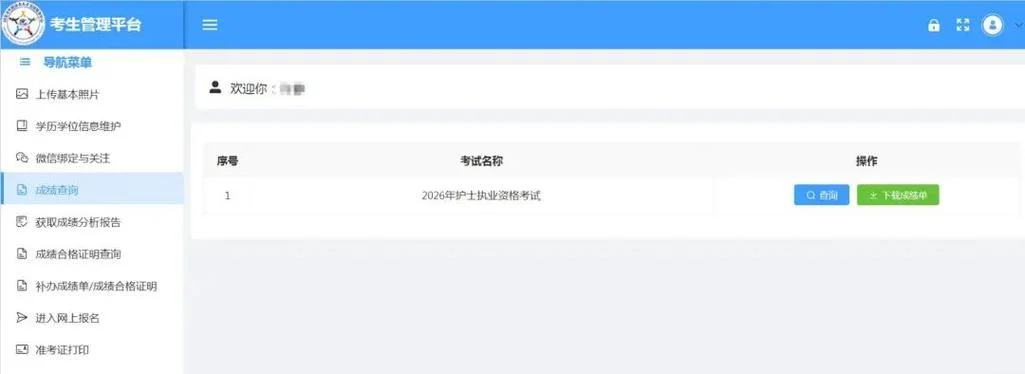2023年护士资格考试成绩查询_1