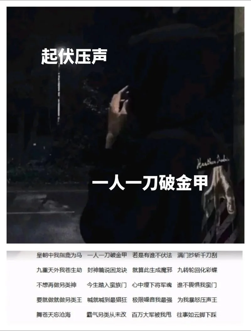 喊麦人生感悟大全_1