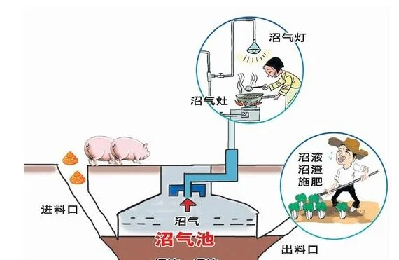 建一个沼气池多少钱-建沼气池造价多少