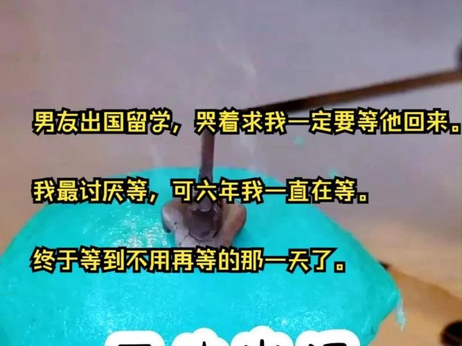 男友供我出国留学_2