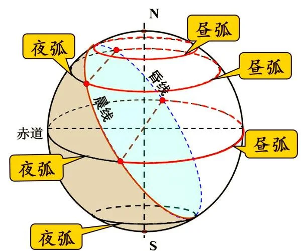 昼夜节律是什么意思-昼夜节律指生物钟