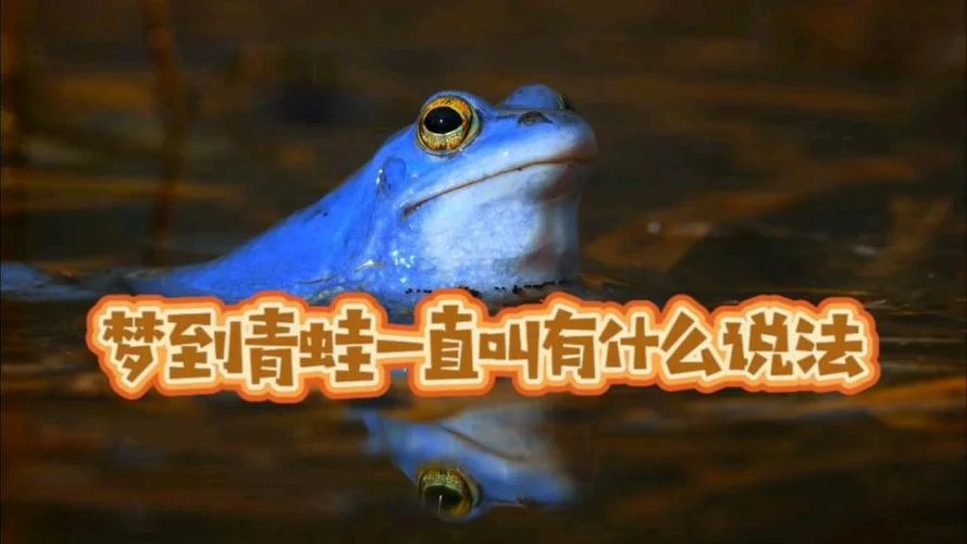 梦到青蛙_1
