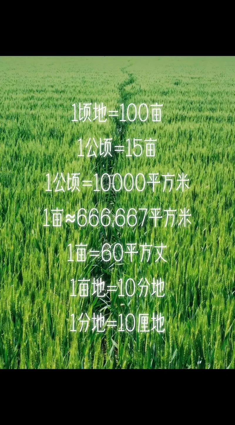 一米等于多少亩-一米约 0.0000625 亩