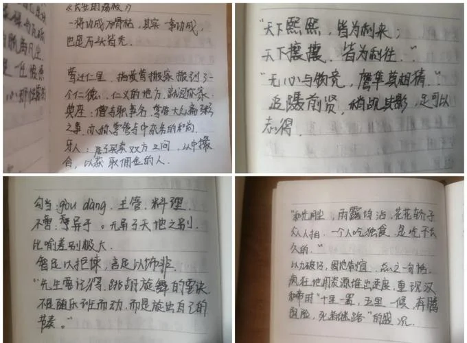 荔枝读后感100字_1