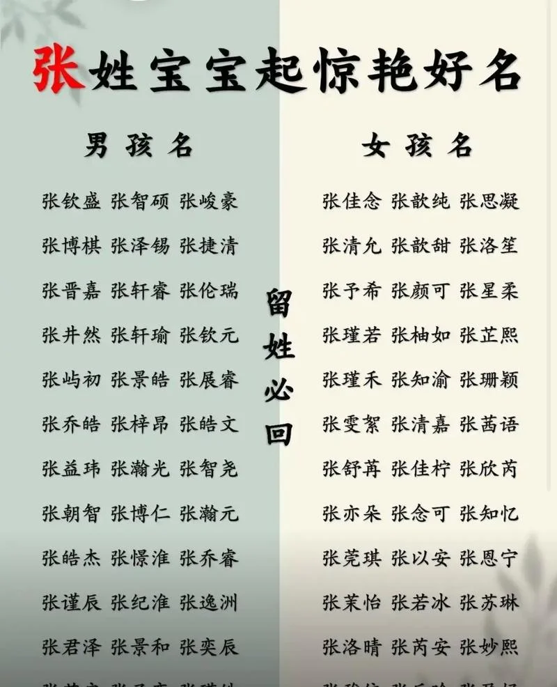 鼠宝宝起名字男张姓_2