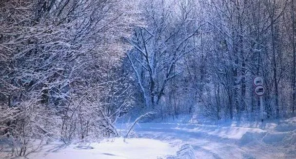 周公解梦白天梦见下雪_2