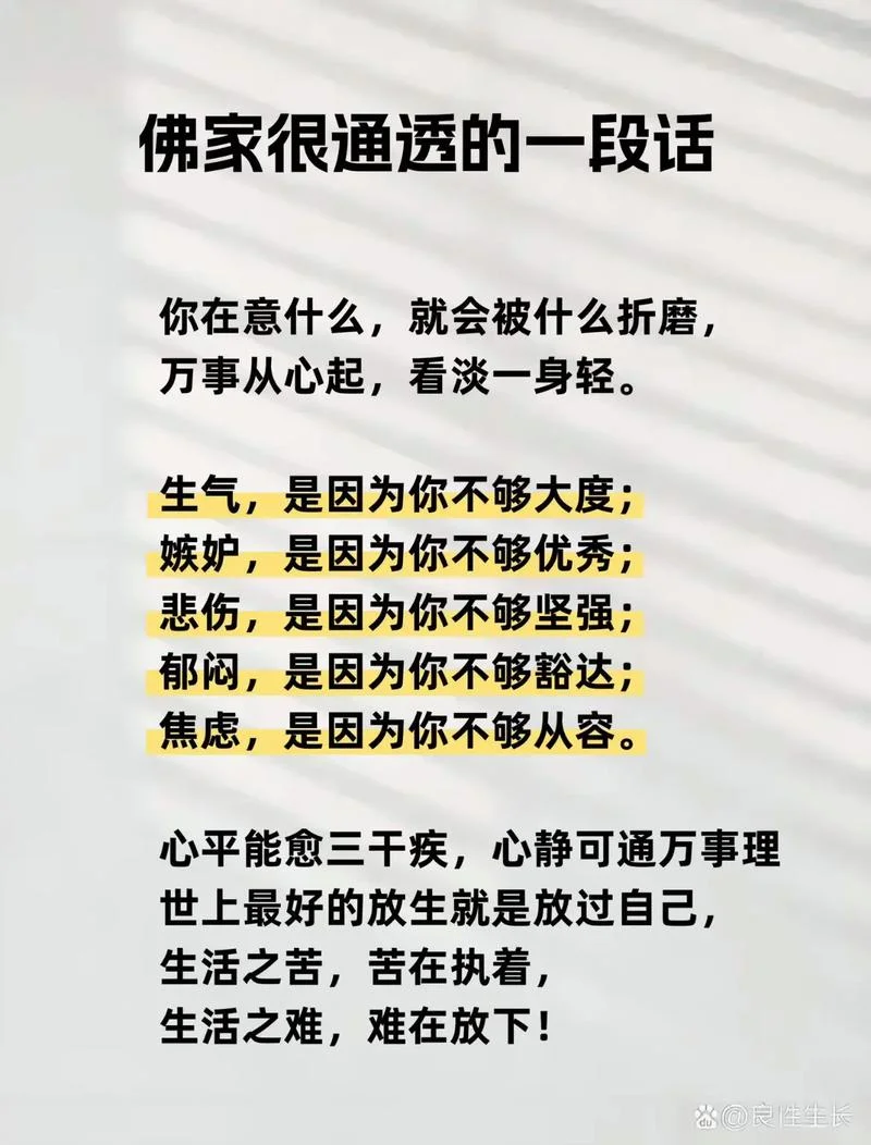 看淡红尘下一句_2