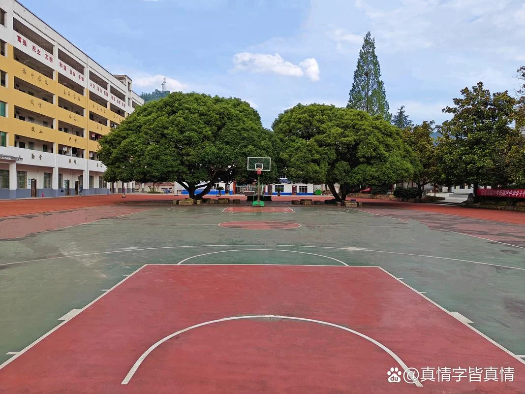 沙洋县曾集中学_1