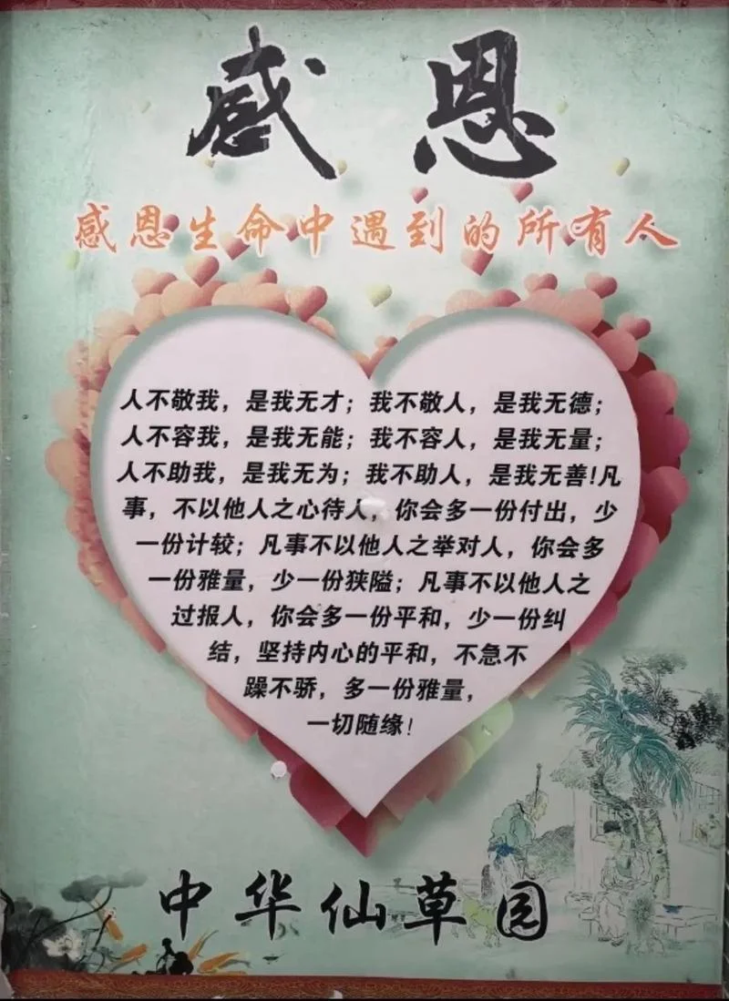 感恩之心的感悟_2