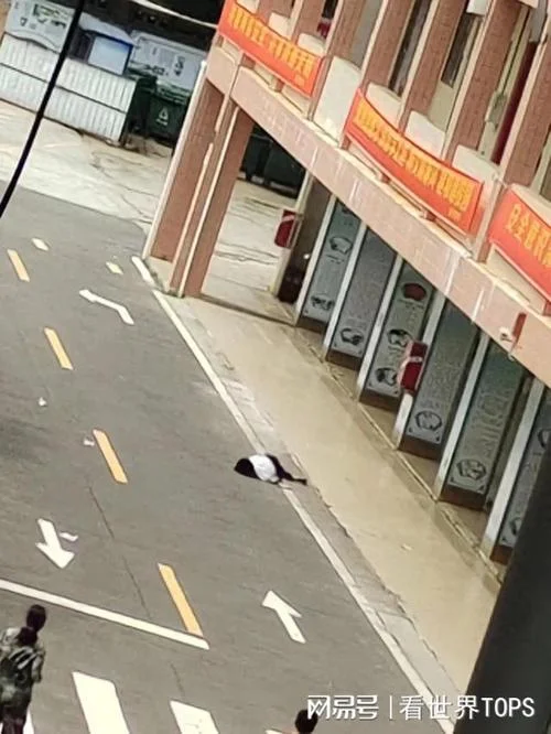 留学生坠楼事件-