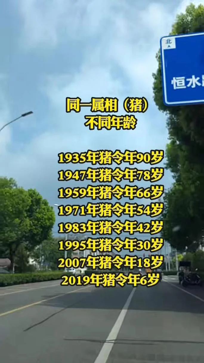 1971年属猪人在2019年的运势如何_2
