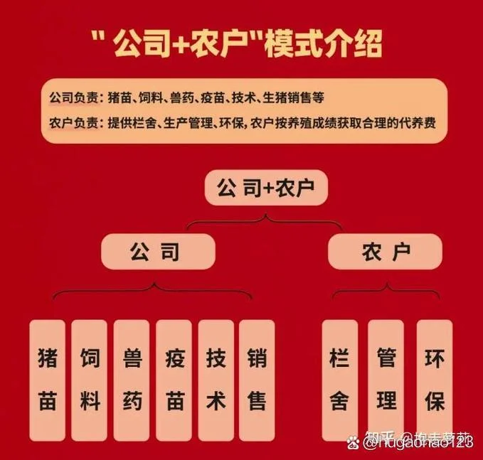 养猪加盟那个公司好-公司推荐养猪加盟