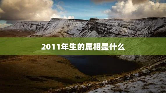 2011年什么属相_2