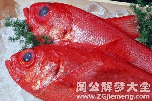 孕妇梦见红鱼怎么回事-孕妇梦红鱼为何