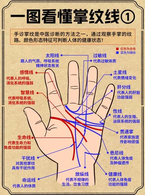 怎么看手相图解男左手-男左手手相解读