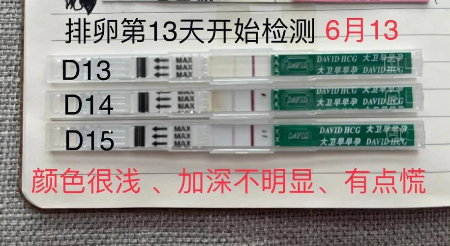 早早孕怎么用图解视频_1