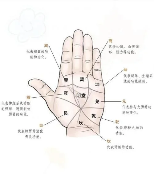 手相健康线怎么看_2