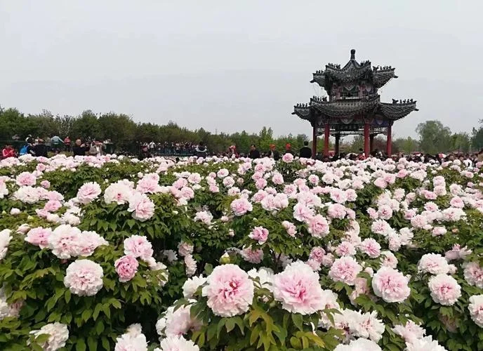 苏州到菏泽多少公里_2