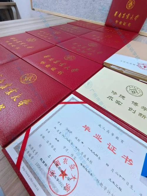 毕业证书怎么查询_2