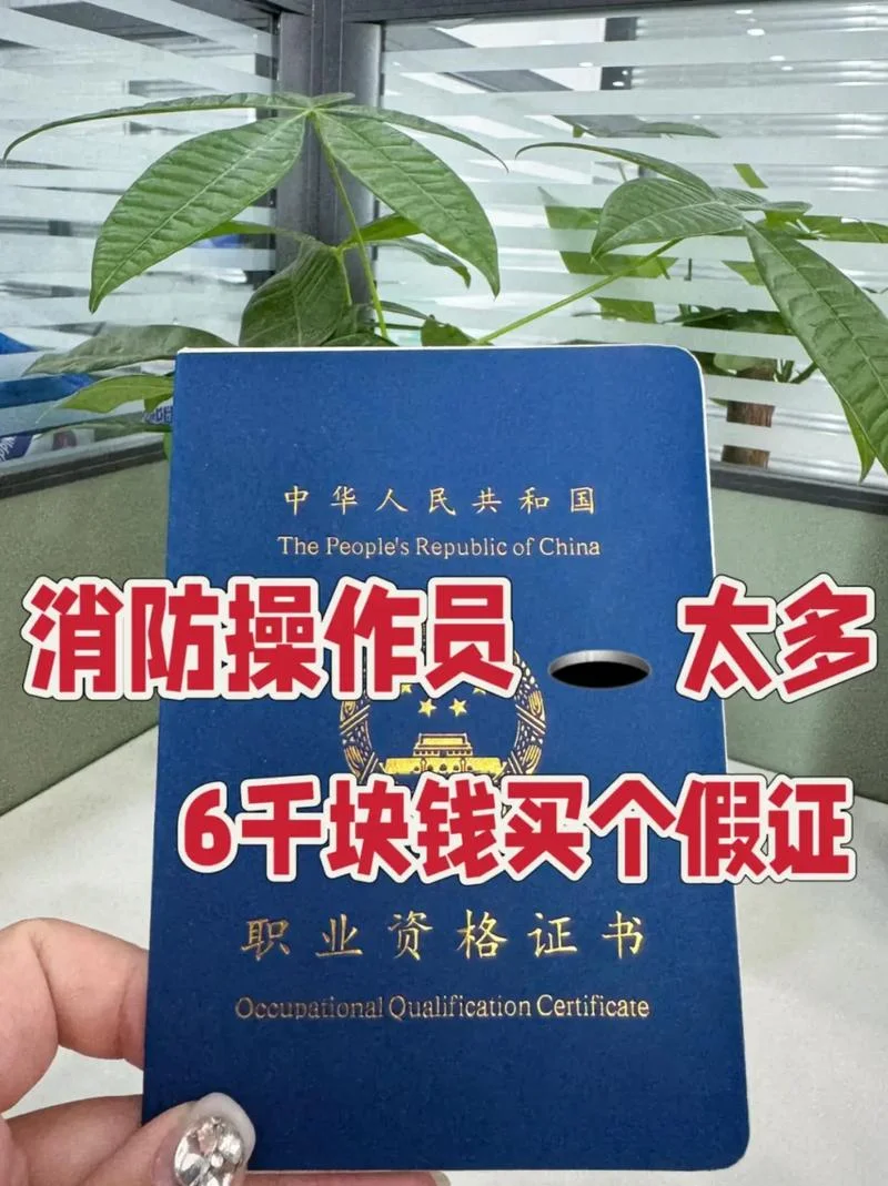 贵州消防证书查询_2