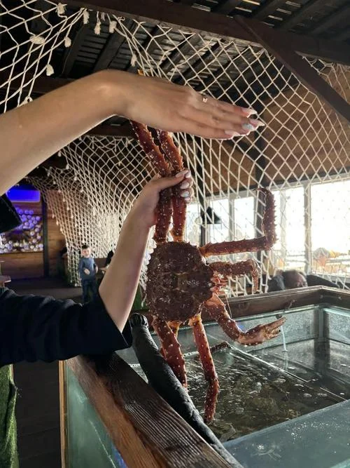 成都飞海参崴旅游攻略_2