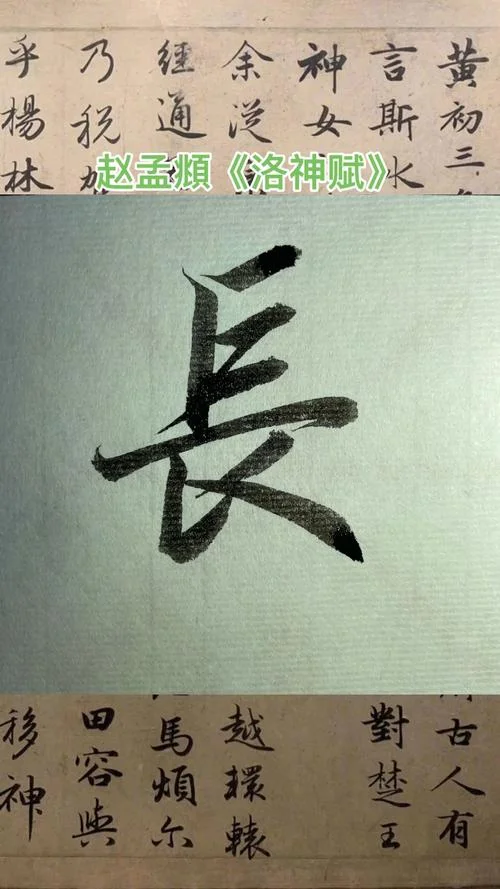 长笔顺怎么写视频_1