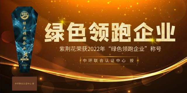 中环联合认证中心_1